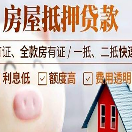 桐庐贷款助贷公司新渝启服成立时间久